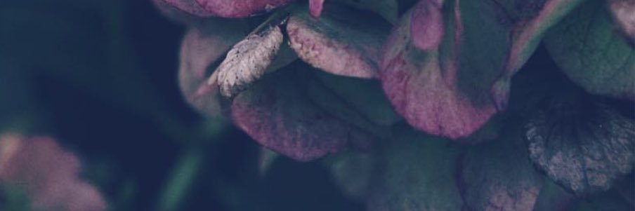 ナカシマ's banner