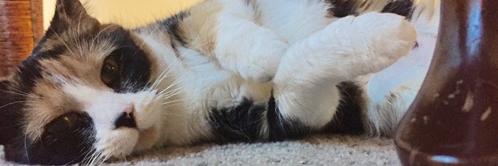 Linds_ks's profile banner image