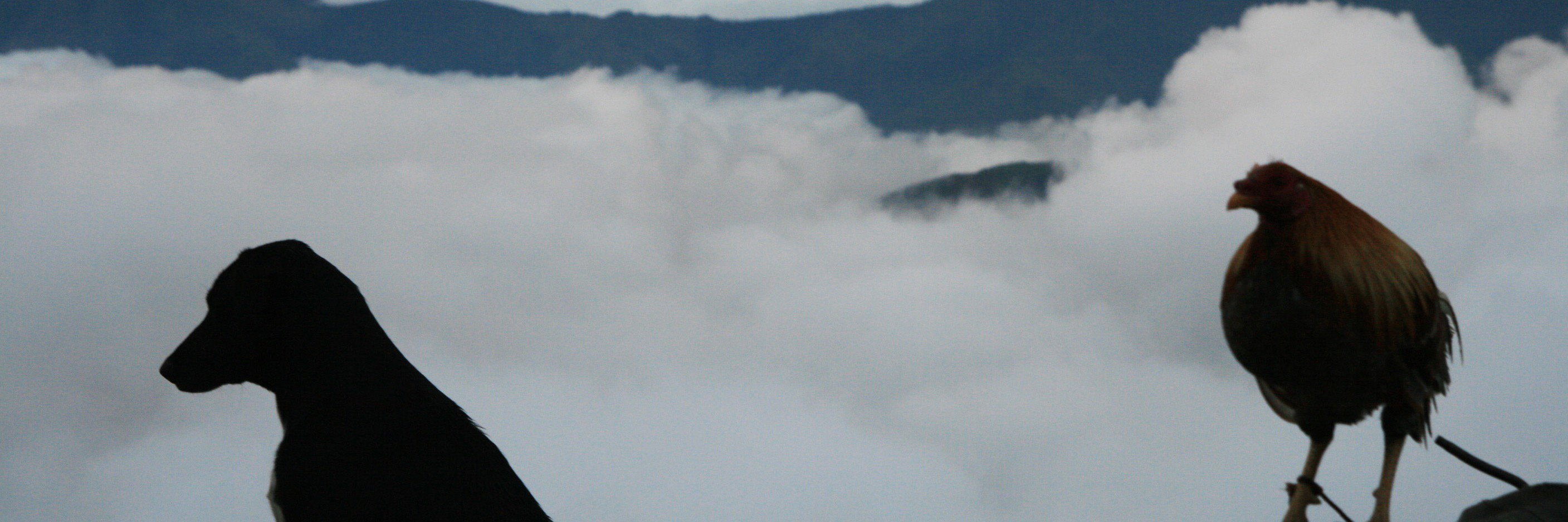 NdlessTheNewNormal banner