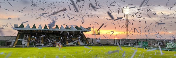 munoz_pf Profile Banner