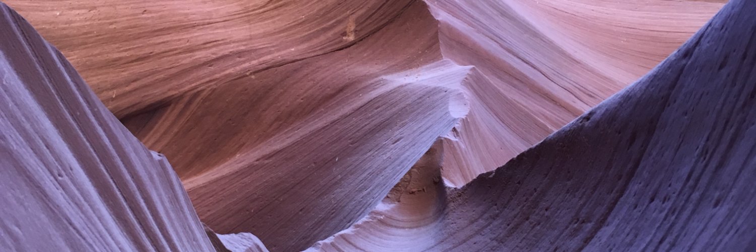 dhrity's profile banner image