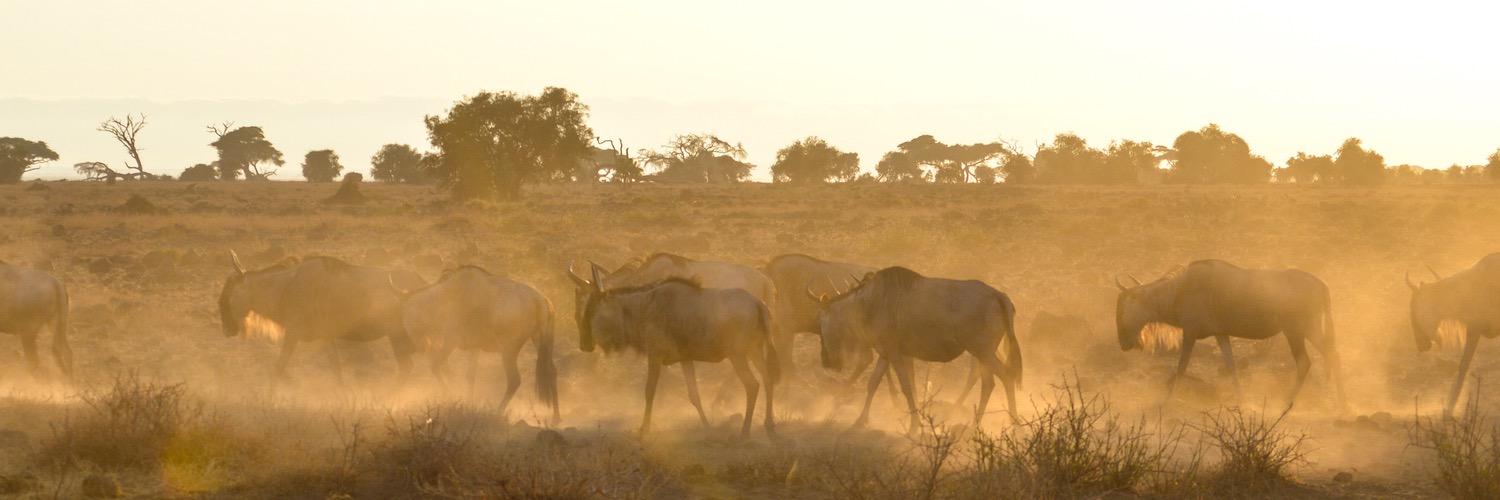 Brandon Jones banner