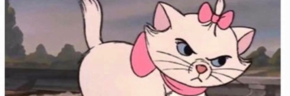 peyton_nichole's profile banner image