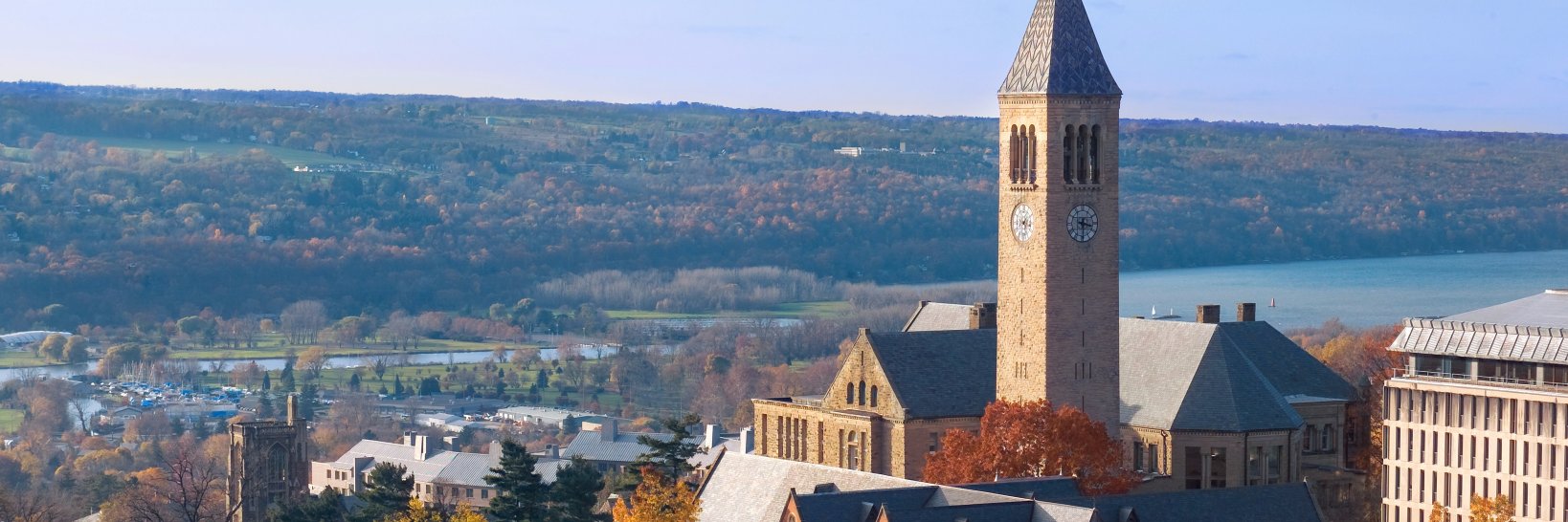 Cornell_Library banner