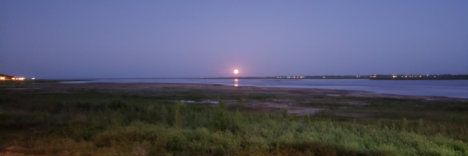 Daniel Scacchi banner