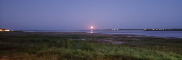 dscacchi Profile Banner