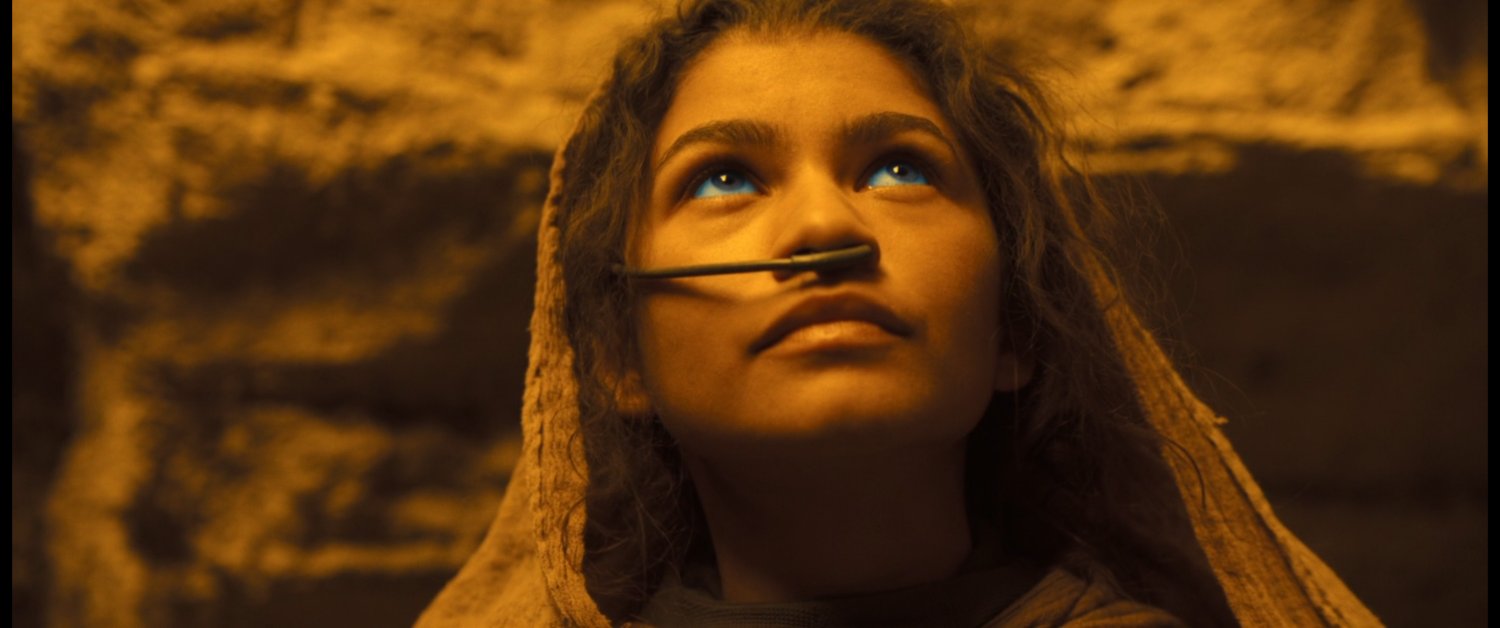 skoomamuch's profile banner image