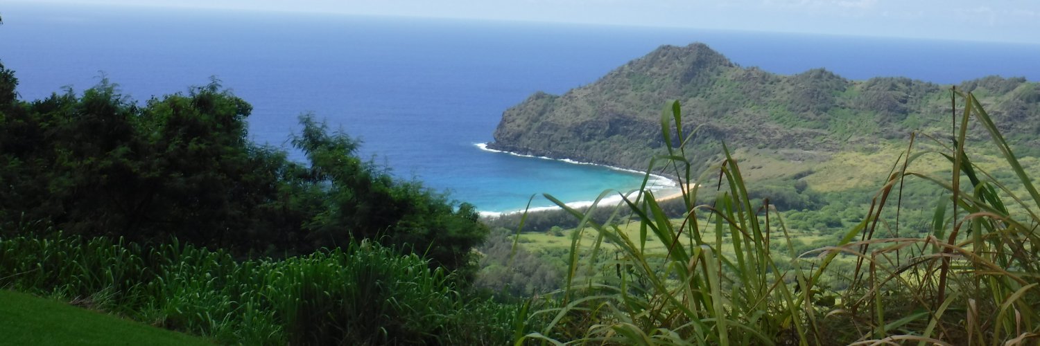 Marketing Mande banner