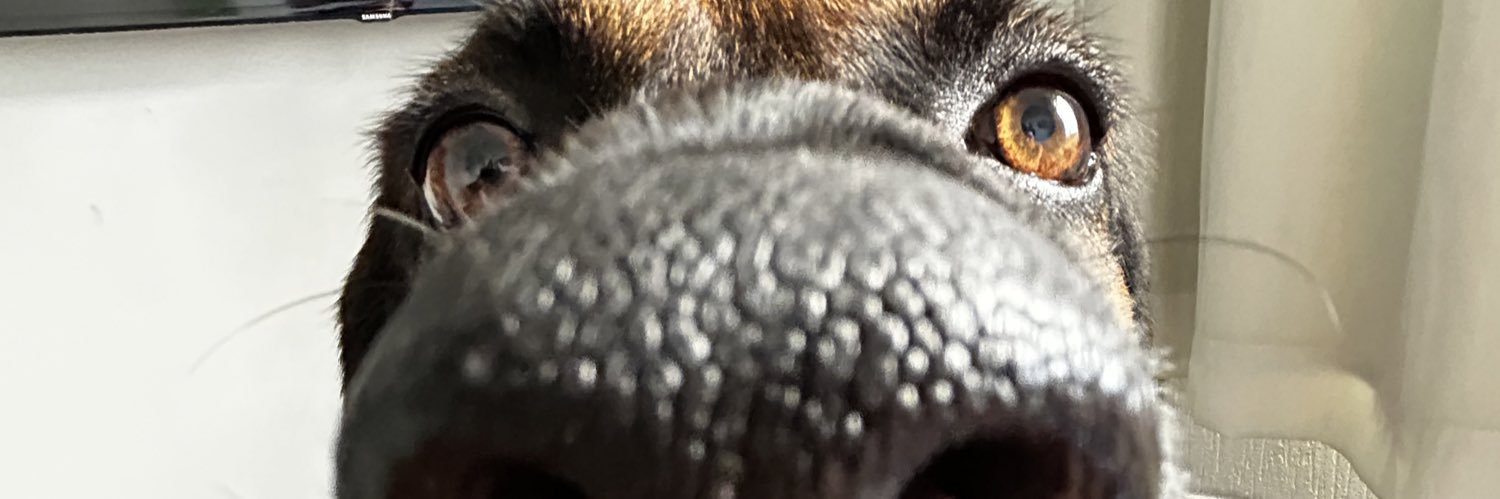greinluiza's profile banner image