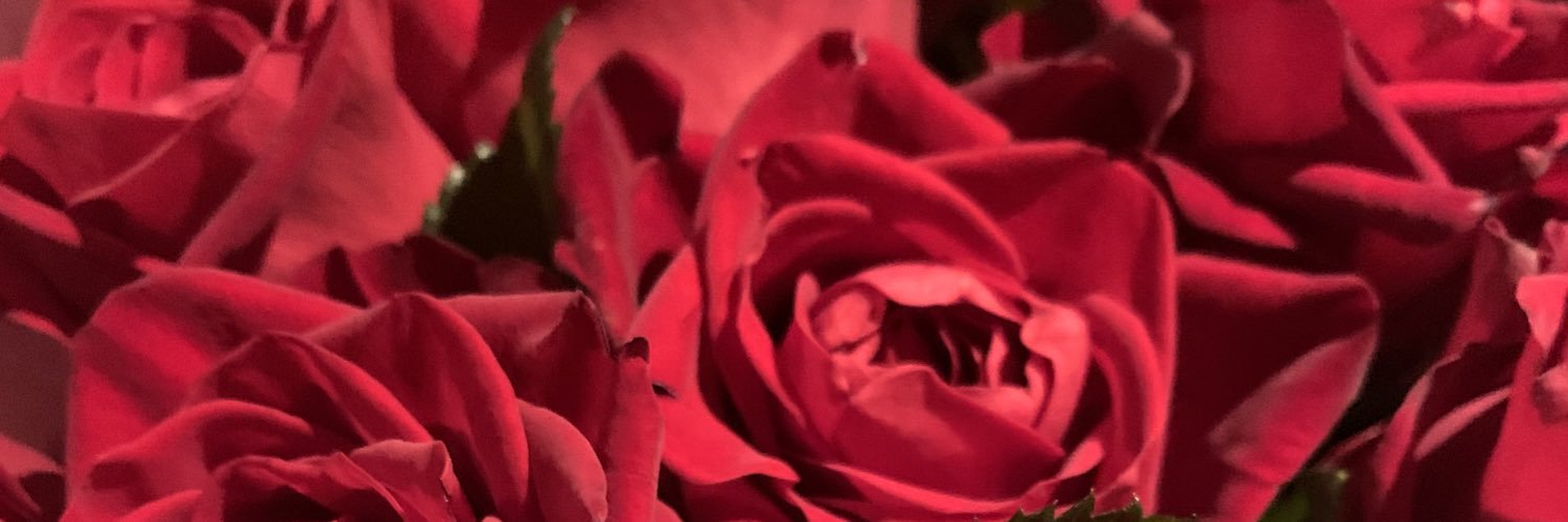 ntxoxo2's profile banner image