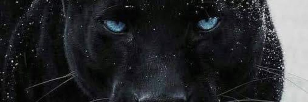 ondercos's profile banner image