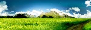 Rohit_is_here_'s profile banner image