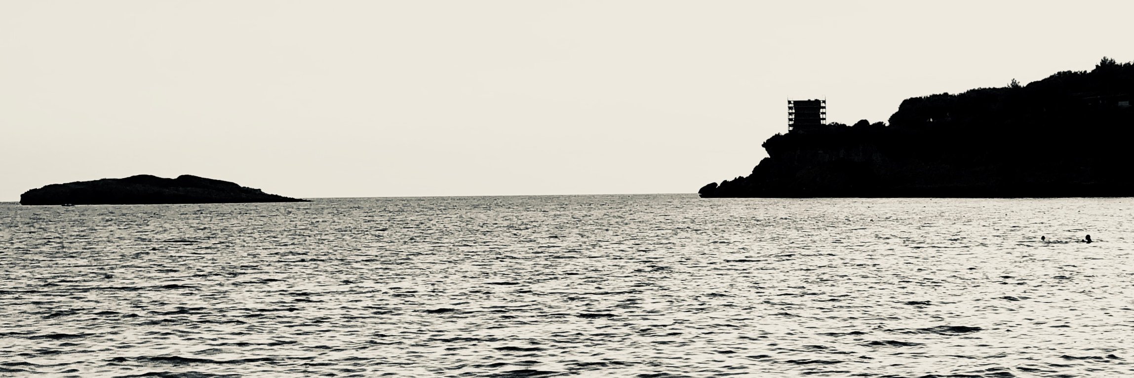 dodorega's profile banner image