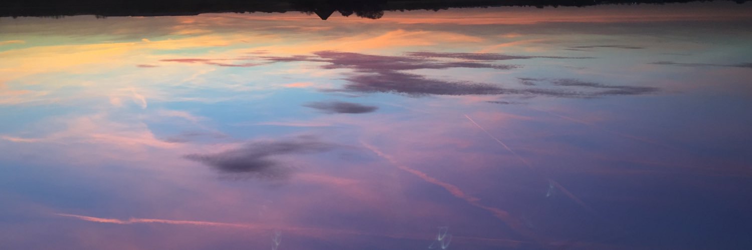 leavemeathemoon's profile banner image