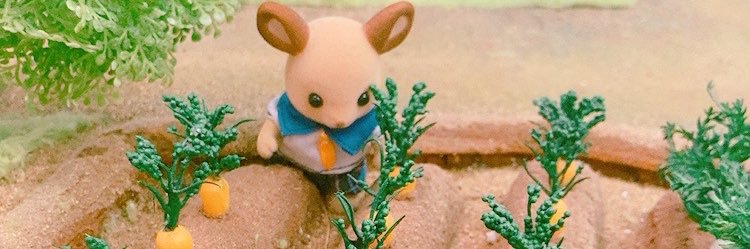 ｍａｙ ． banner
