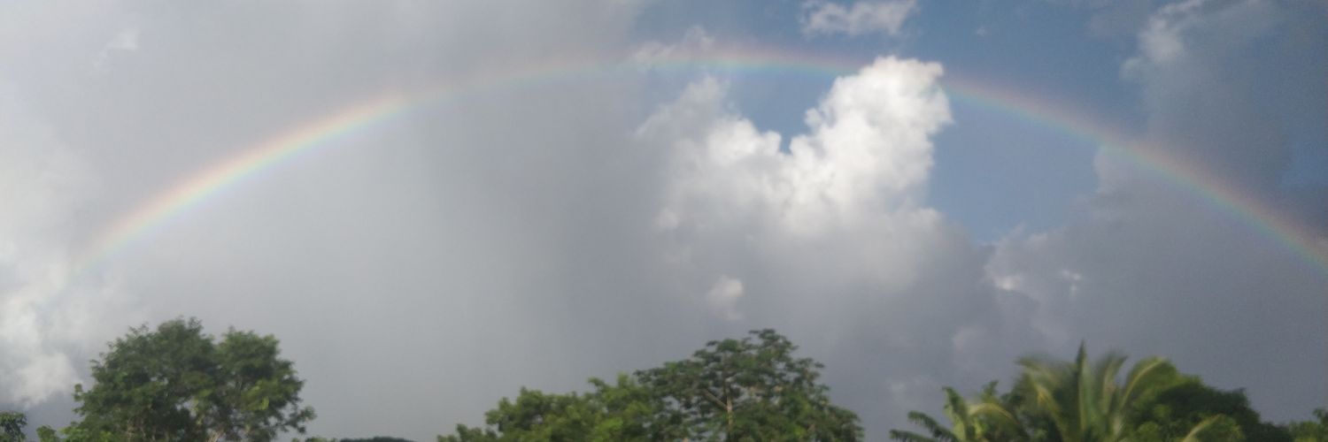 AlwynET's profile banner image