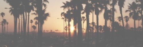 ashleypalmer97's profile banner image