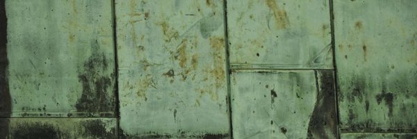 elvapachecoll Profile Banner