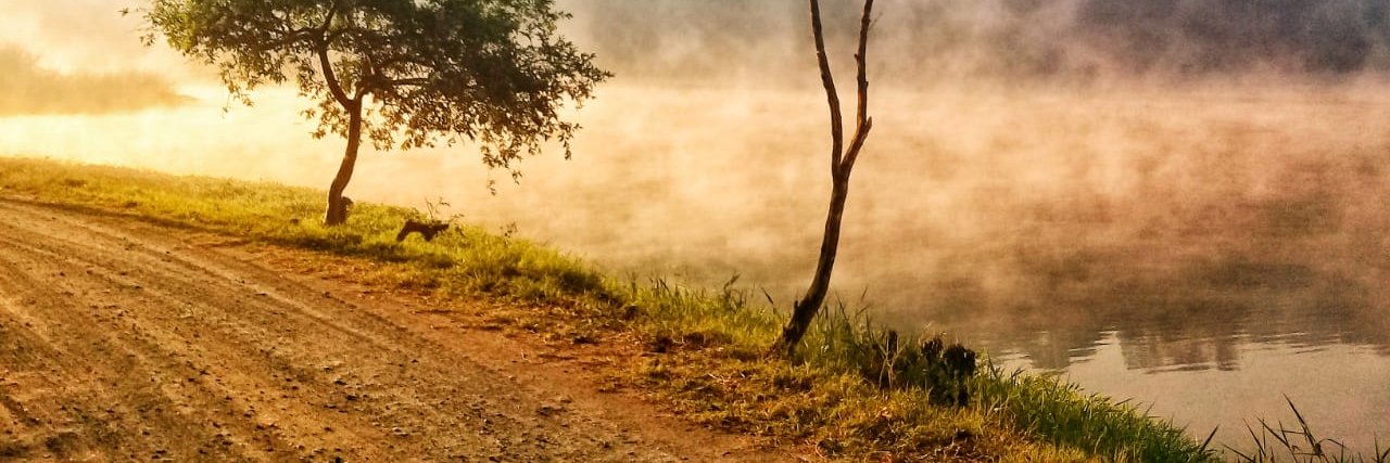 EdwinRM71's profile banner image