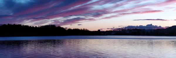 Bhavikinthelab Profile Banner