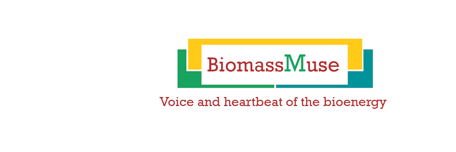 BiomassMuse's profile banner image