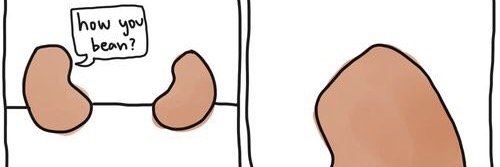 kelseybean14's profile banner image