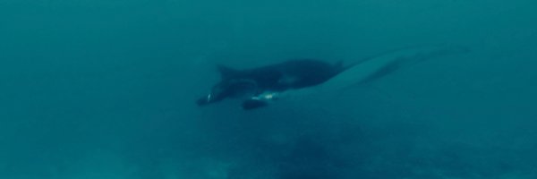 Tbalt_ Profile Banner
