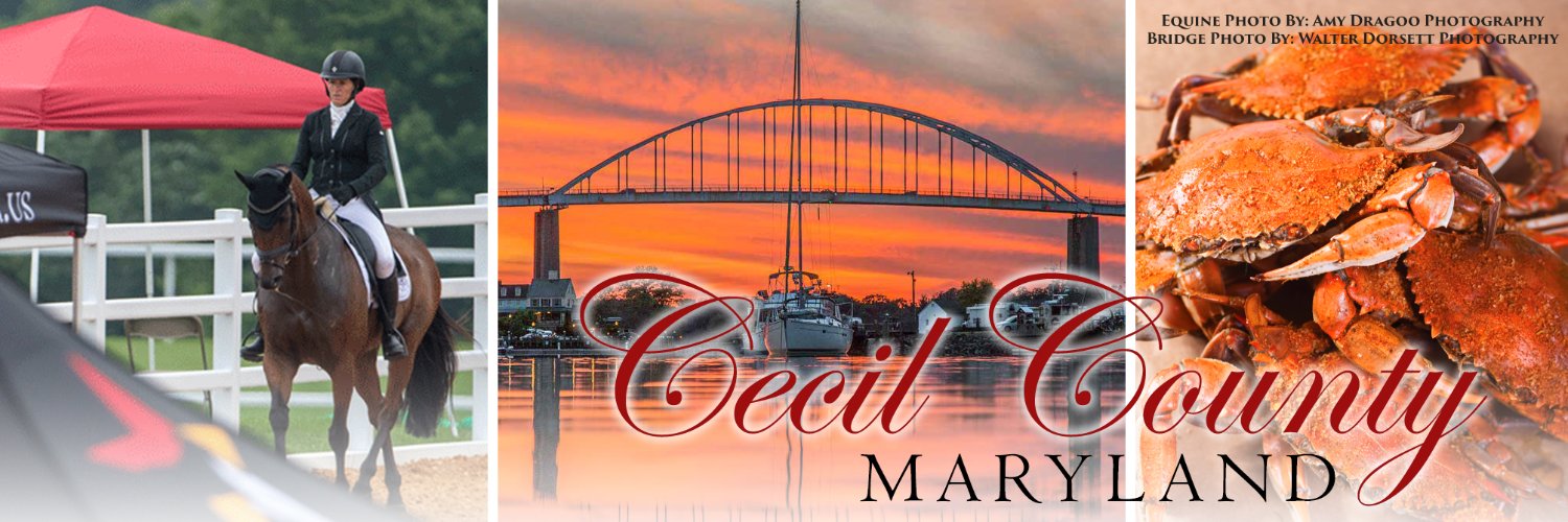 Cecil County Government banner