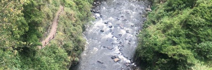 Puinarmando's profile banner image