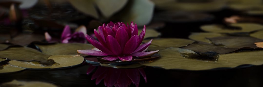 GraeDanner's profile banner image