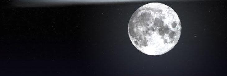 lyalealahdal's profile banner image