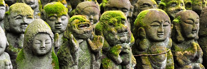 𝚖𝚎𝚎𝚜𝚑 𝚖𝚎𝚎𝚜𝚑 banner