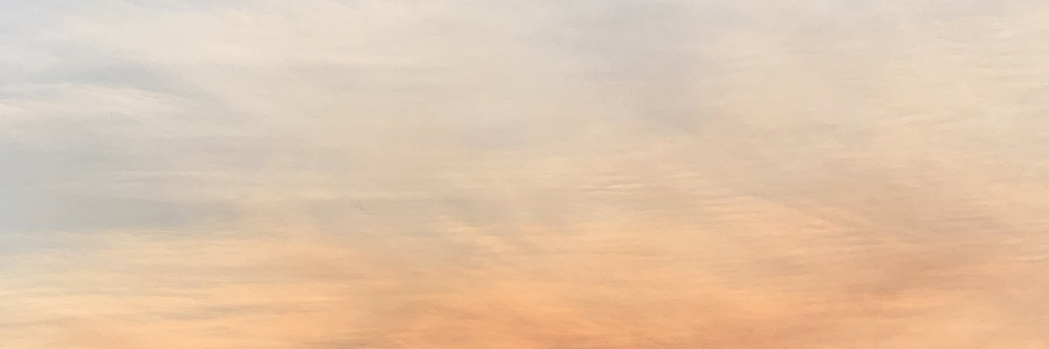 tonirae94's profile banner image