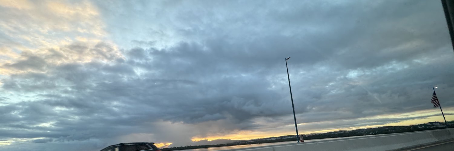 vndresca's profile banner image