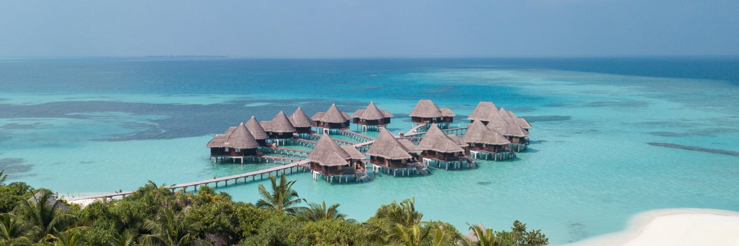 Coco Collection banner