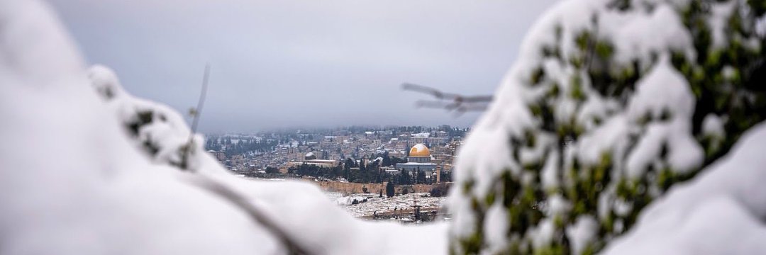 Muhammad Mazen 🇵🇸's banner