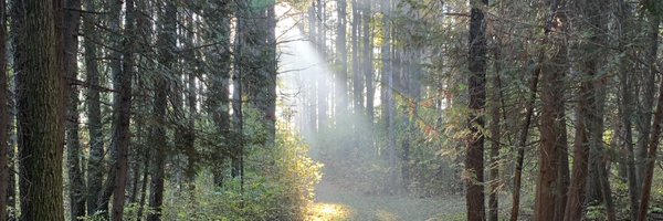noolienoolie Profile Banner