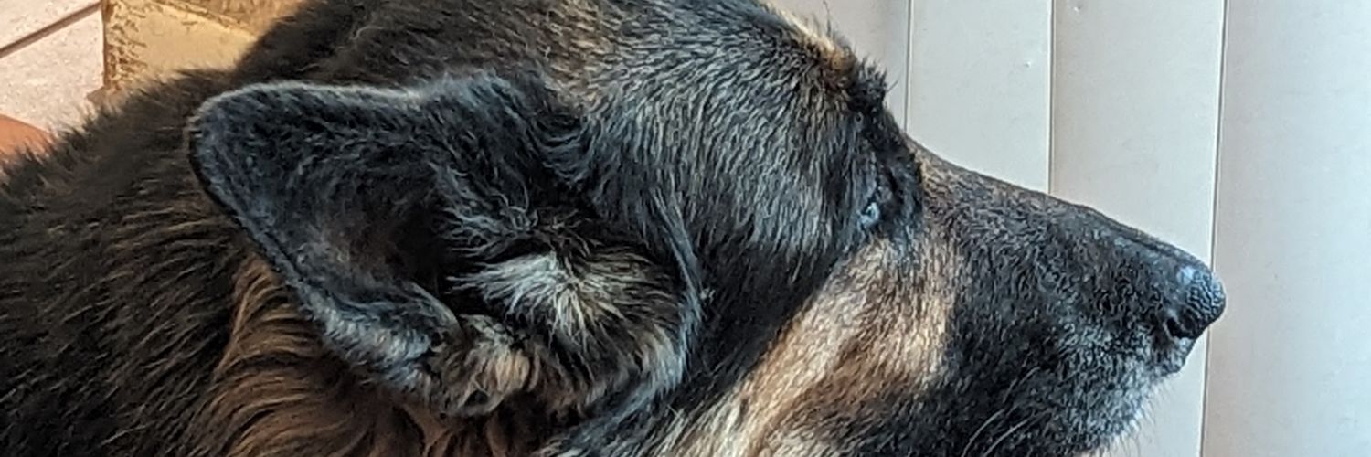 StyleByRic's profile banner image
