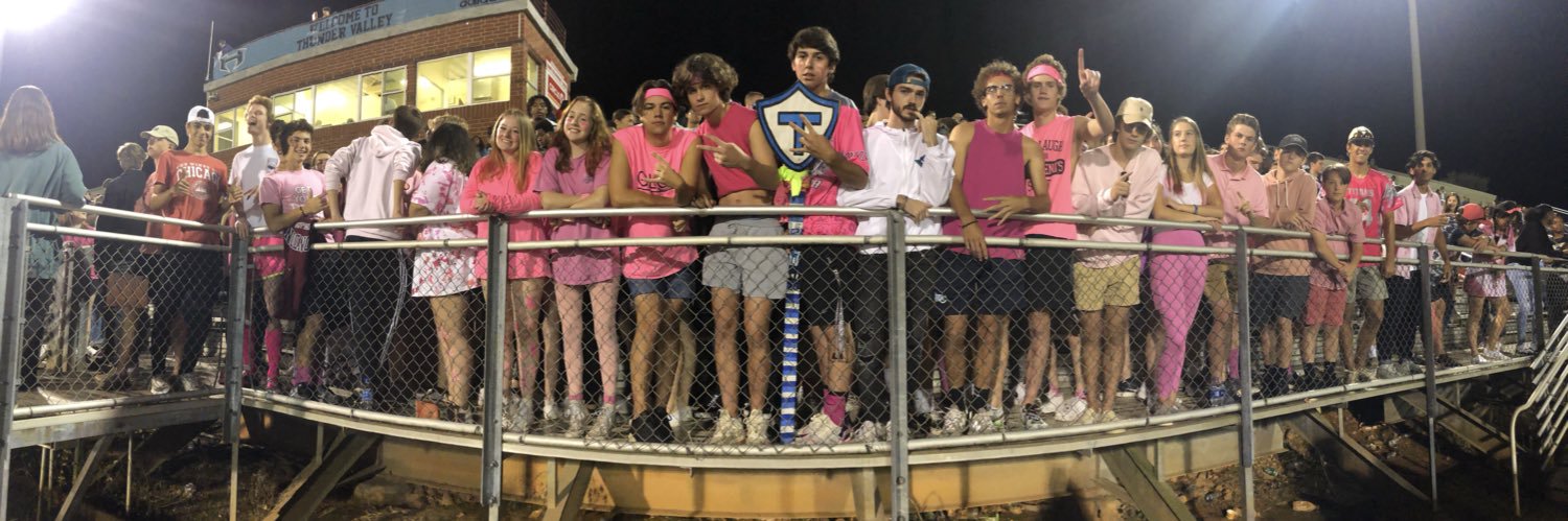 Hopewell Hooligans banner