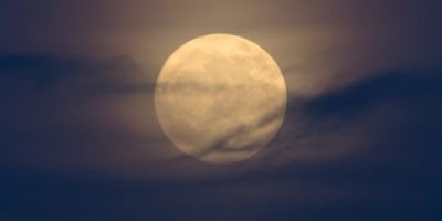 _Alexis_Barker_'s profile banner image