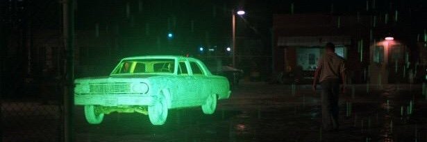 federal turtle banner