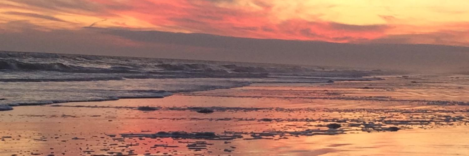 MsBazar3's profile banner image