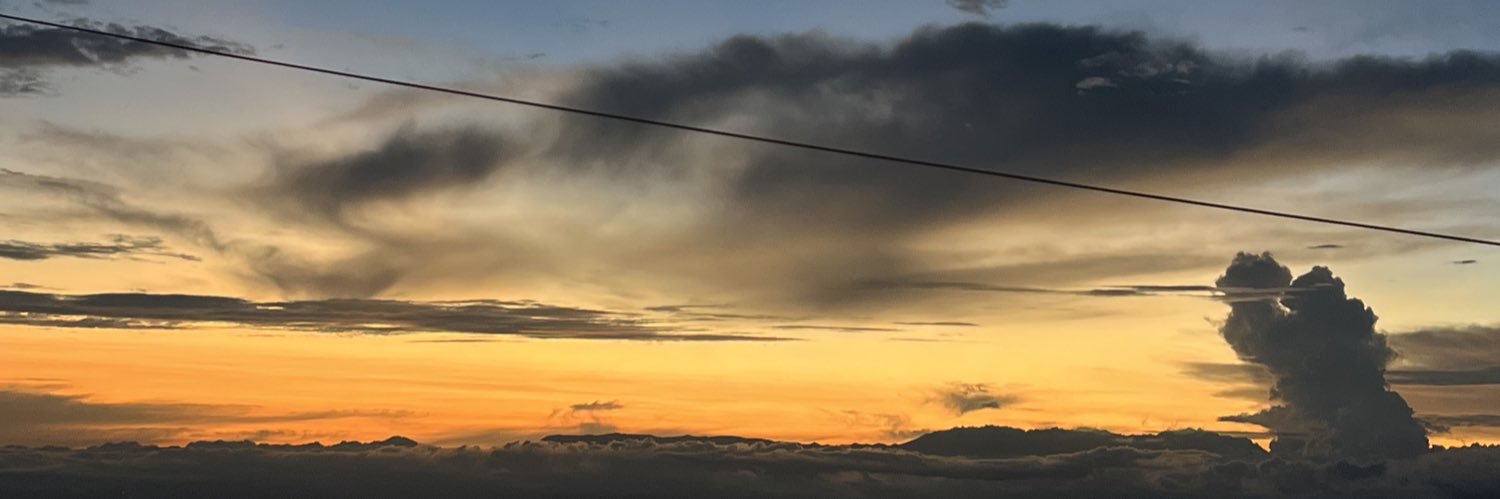 Aleja Rendón banner