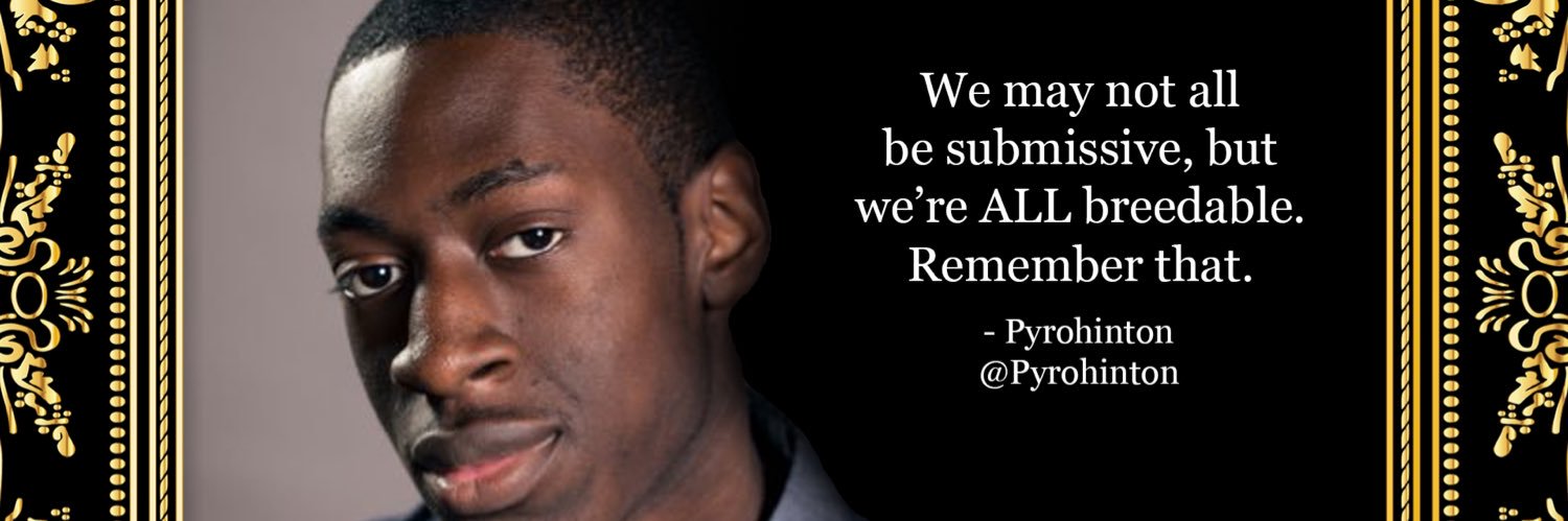 Pyrohinton's profile banner image