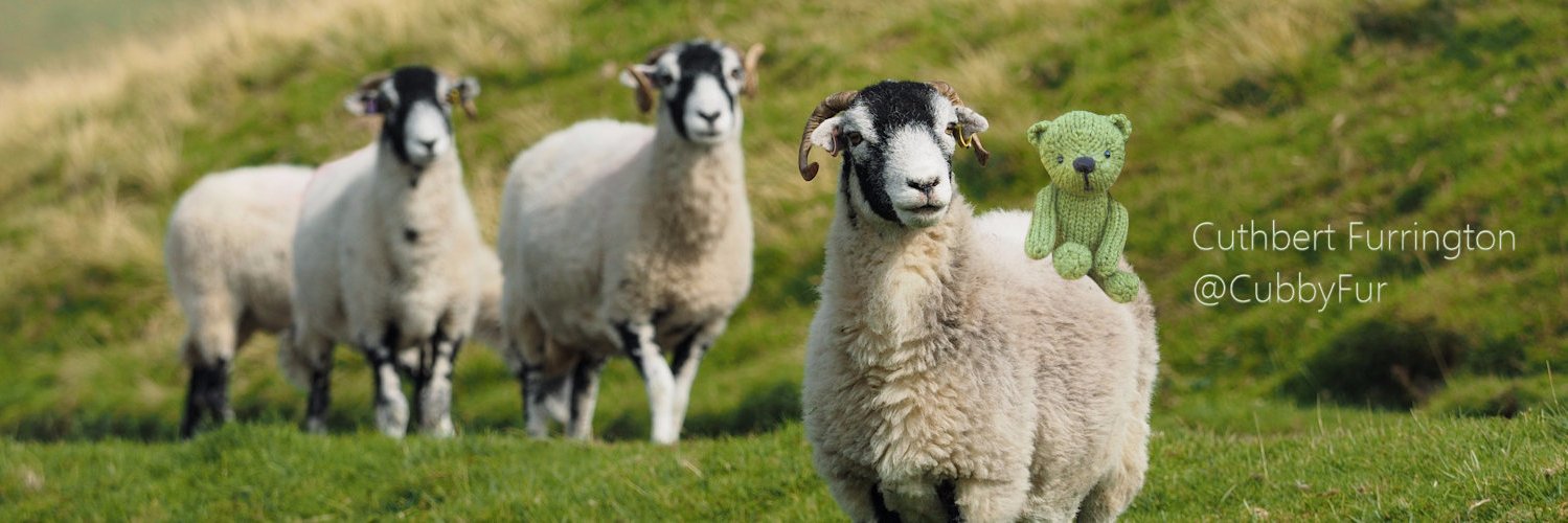 Cubby Furrington banner