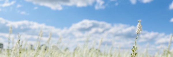 palliativemeddr Profile Banner