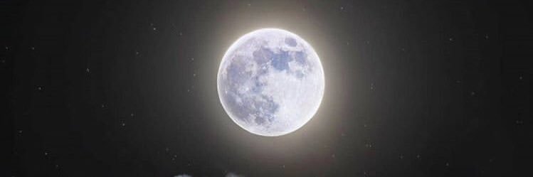 MariaCharney's profile banner image