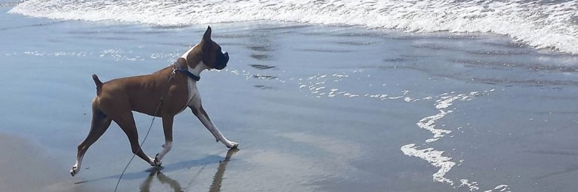 PATRIOT-KELLY🌪️😎🇺🇸 banner