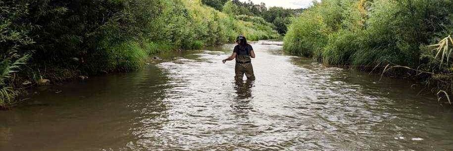 Victoria Phan banner