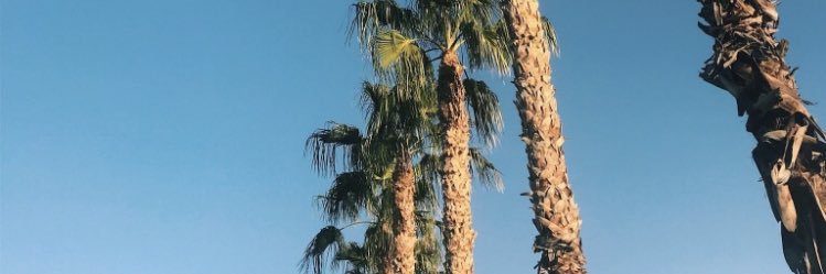 cheyconacher's profile banner image